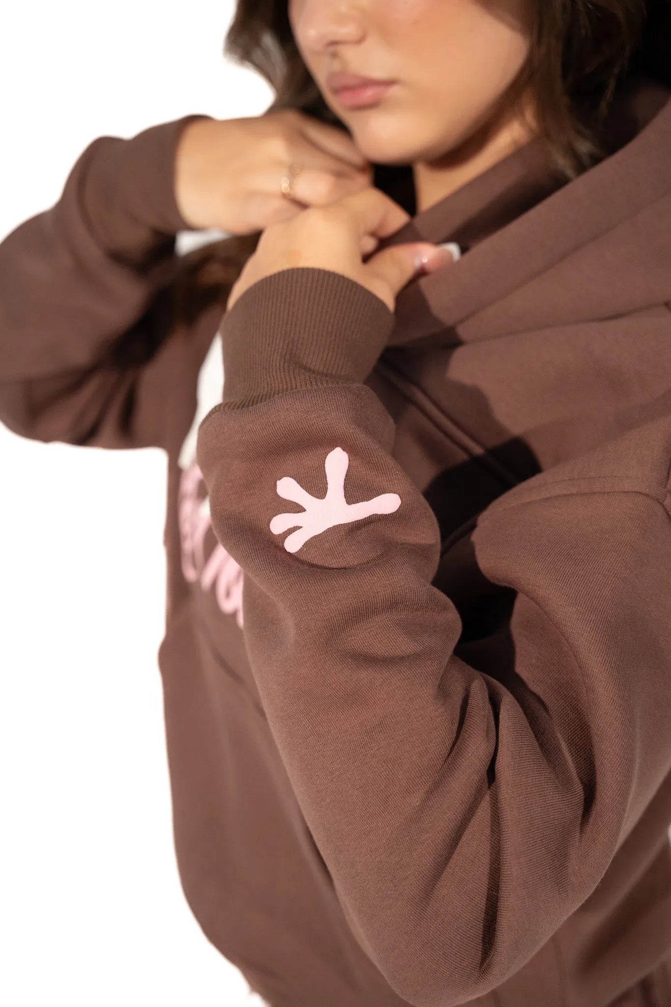 LT2 BROWN HOODIE - LeVoleur